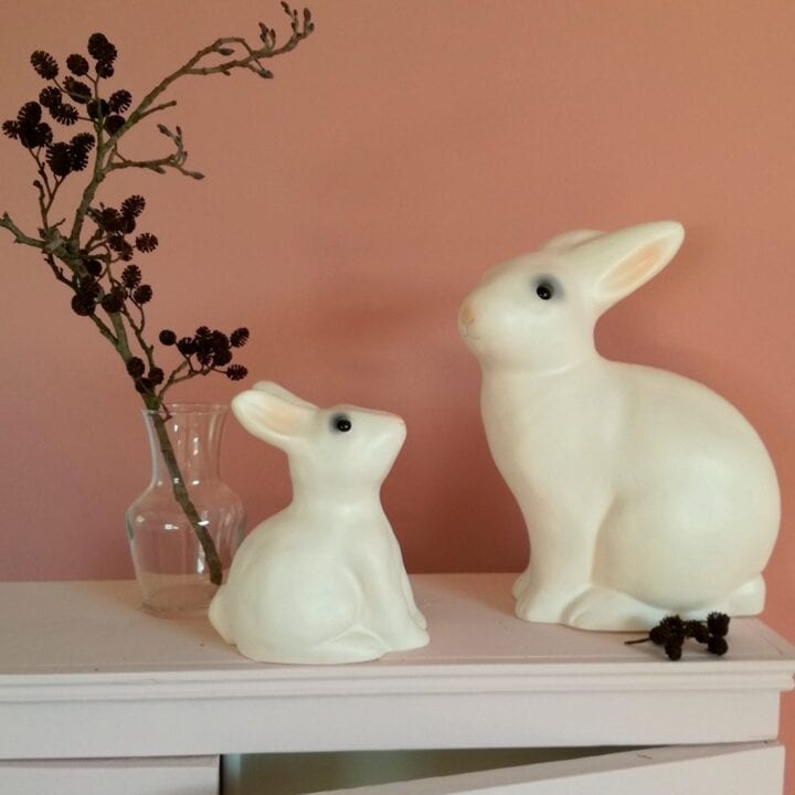 Kanin sparebøsse med kanin lampe